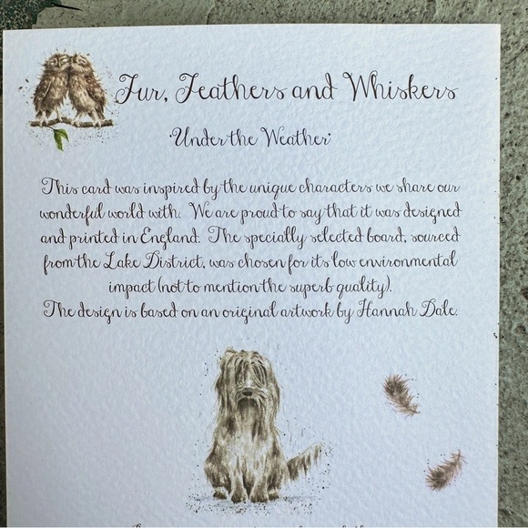 Feeling Under The Weather Card - Picture 8 of 10